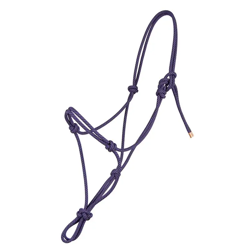 Steele Halter