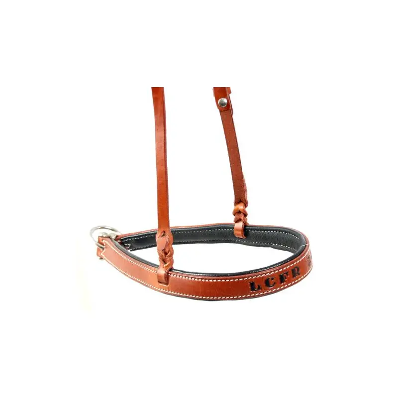 Trophy Noseband #1