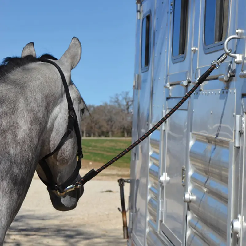 Cashel Triple Shock Cord