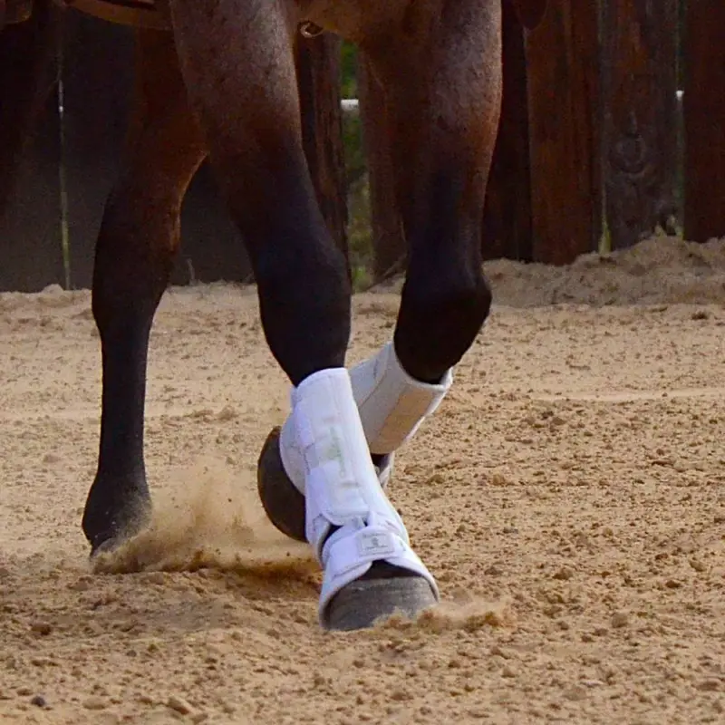 Classic Equine ProTech Splint Boots