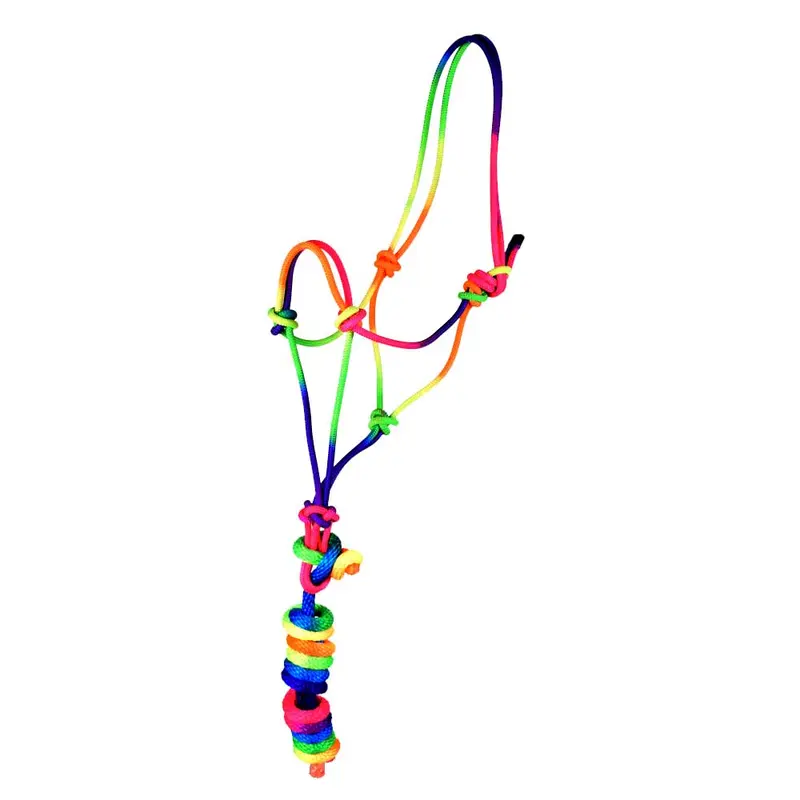 Teskey's Rainbow Rope Halter with Lead