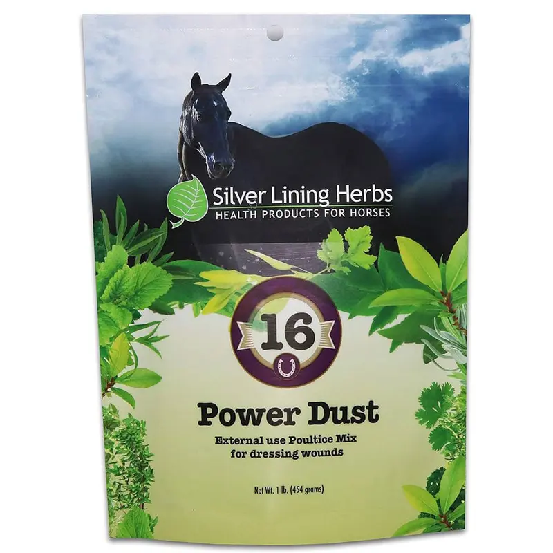 Silver Lining #16 Power Dust