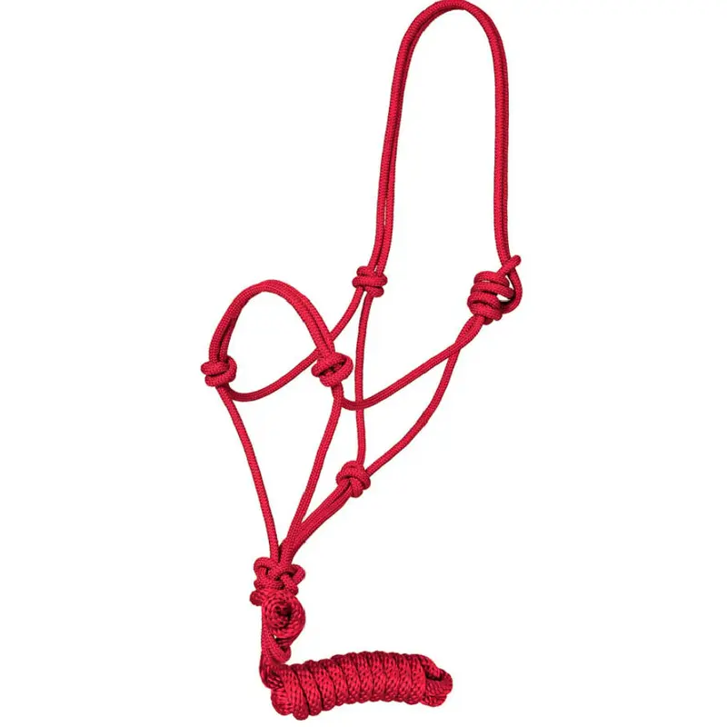 Traditional Rope Halter with Lead