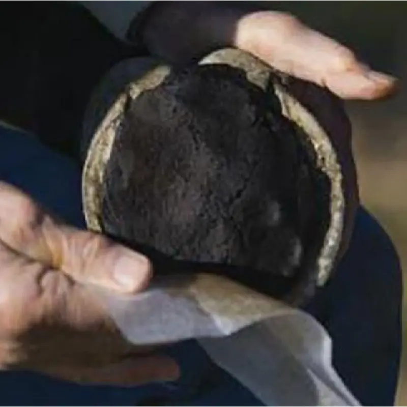 Hawthorne Sole Pack Medicated Hoof Packing Paste