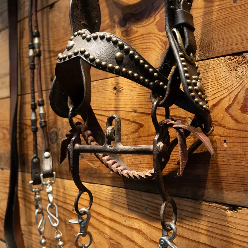 Stunning Vintage Dotted Bridle Rig w/Cavesson & Romel Reins