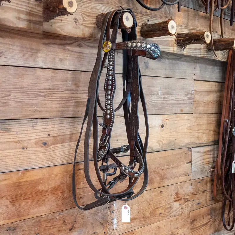 Vintage Horse Bridle Rig
