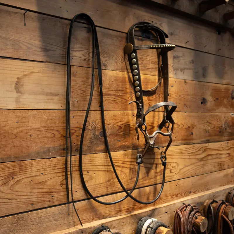 Vintage Horse Bridle Rig with Silver Nickel Dots