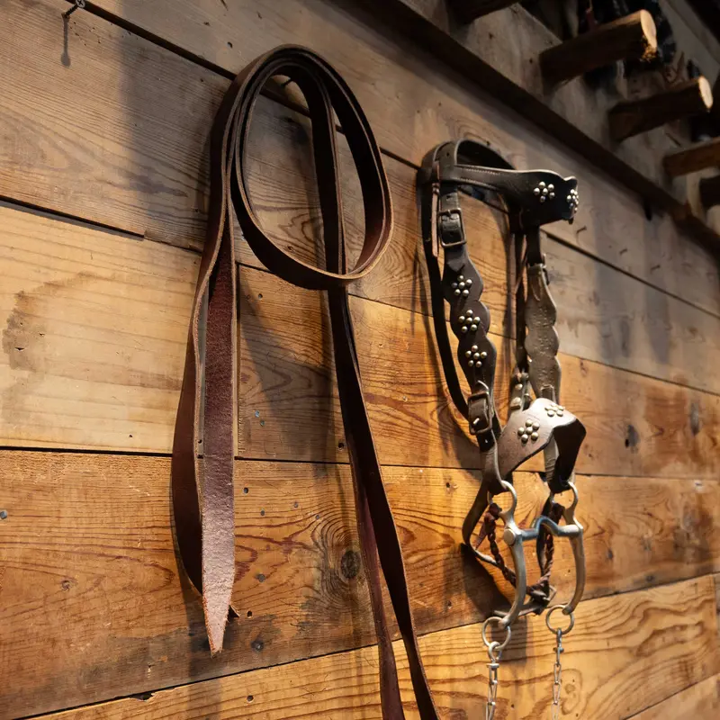 Vintage Nickel Dotted Cavesson & Horse Bridle Rig