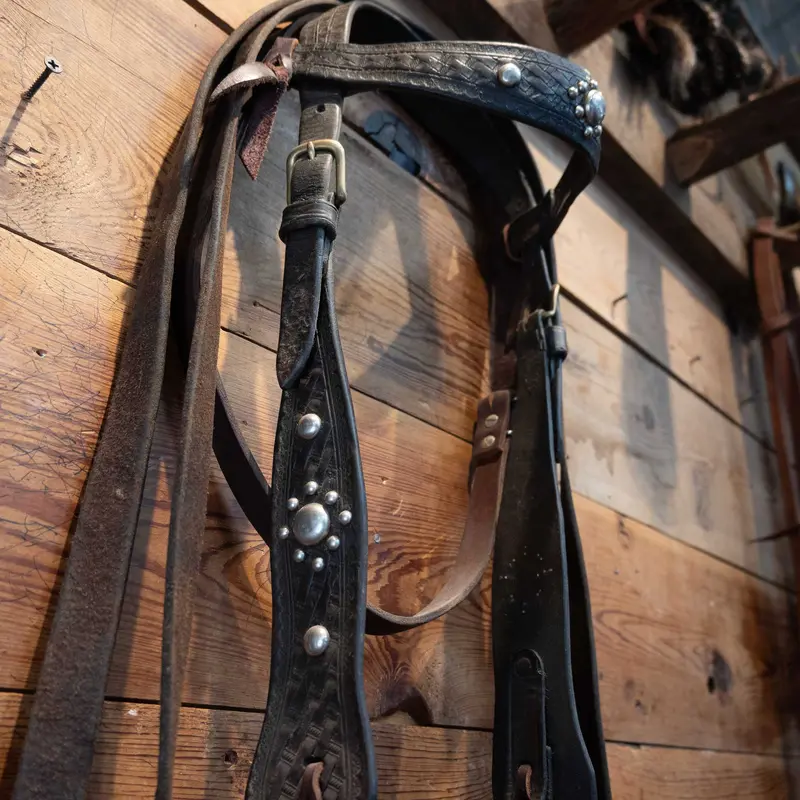 Vintage Tooled Silver Dotted Bridle Rig