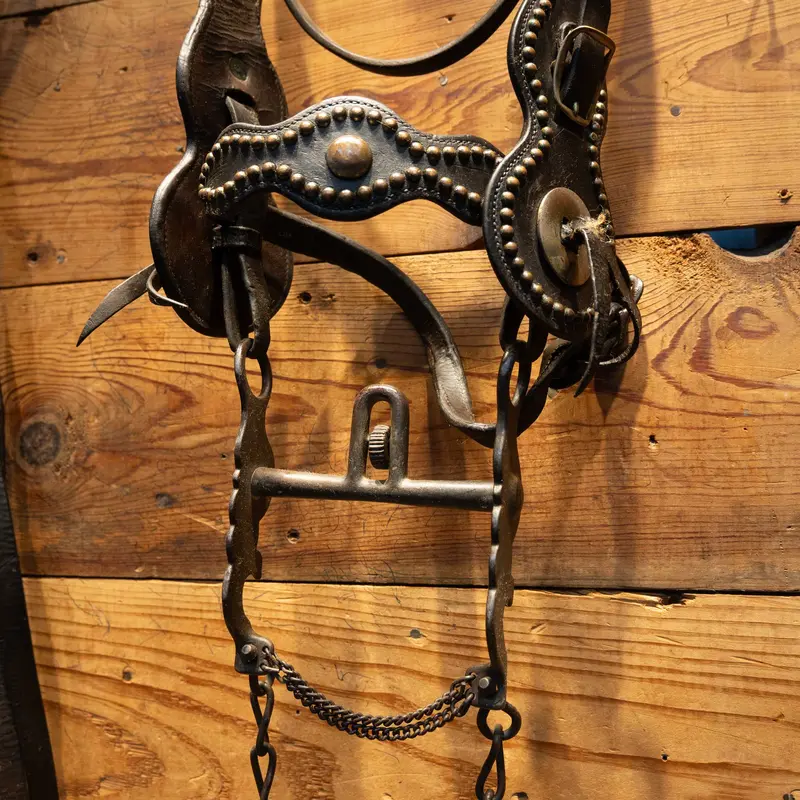 1940's Beurman Bit w/ Vintage Dotted Bridle Rig