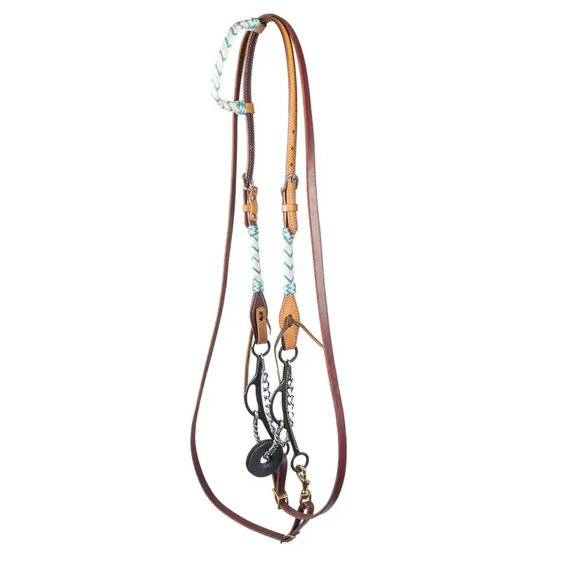 Teskey's Twisted Wire Sliding Gag Bridle Rig