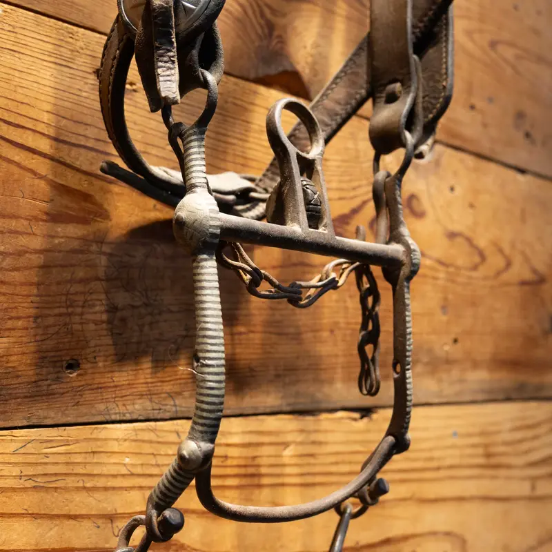 Vintage Tooled Bridle Rig with Mexican Silver Inlayed Bit