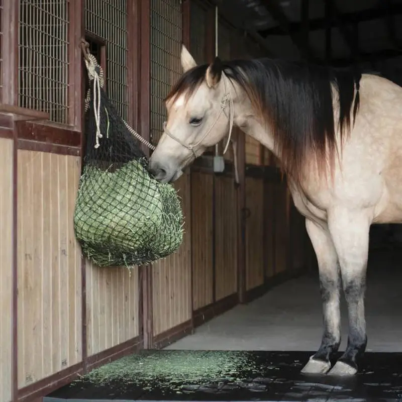 Hay Chix Half Bale Net