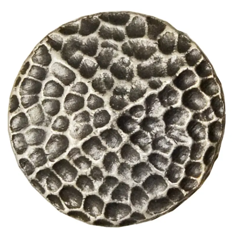 Silver Hammered Concho