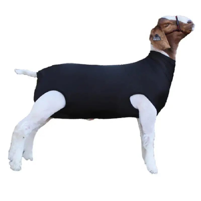 Sullivan's Performance Spandex Goat Tube