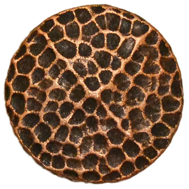 Copper Hammerhead Concho