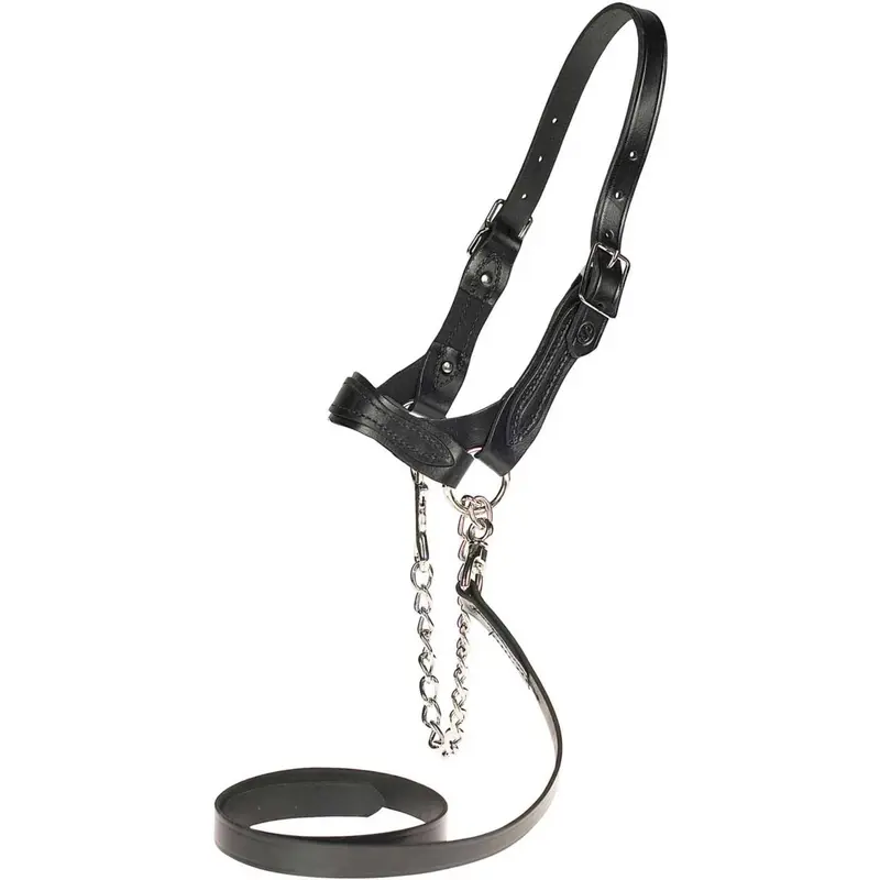 Sullivan's Scalloped Show Halter