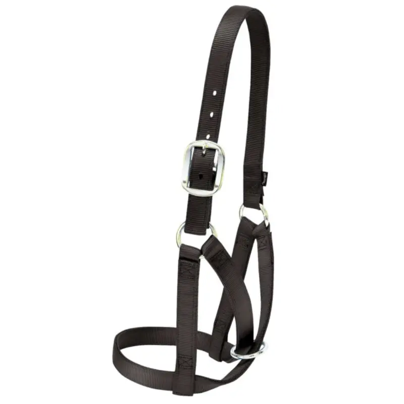 Weaver Cow Barn Halter