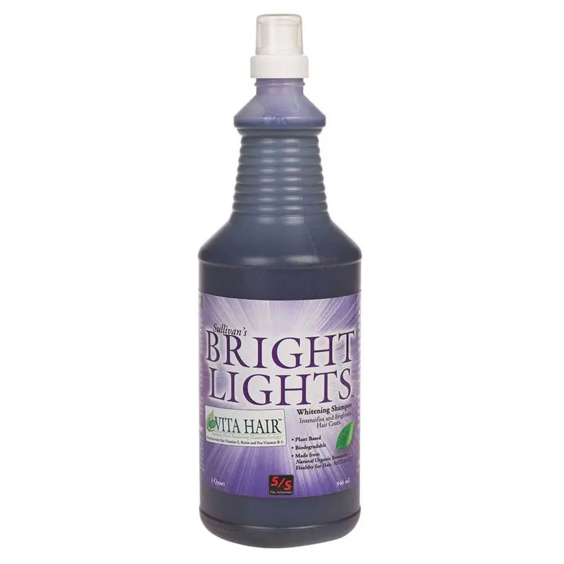 Sullivan's Bright Lights