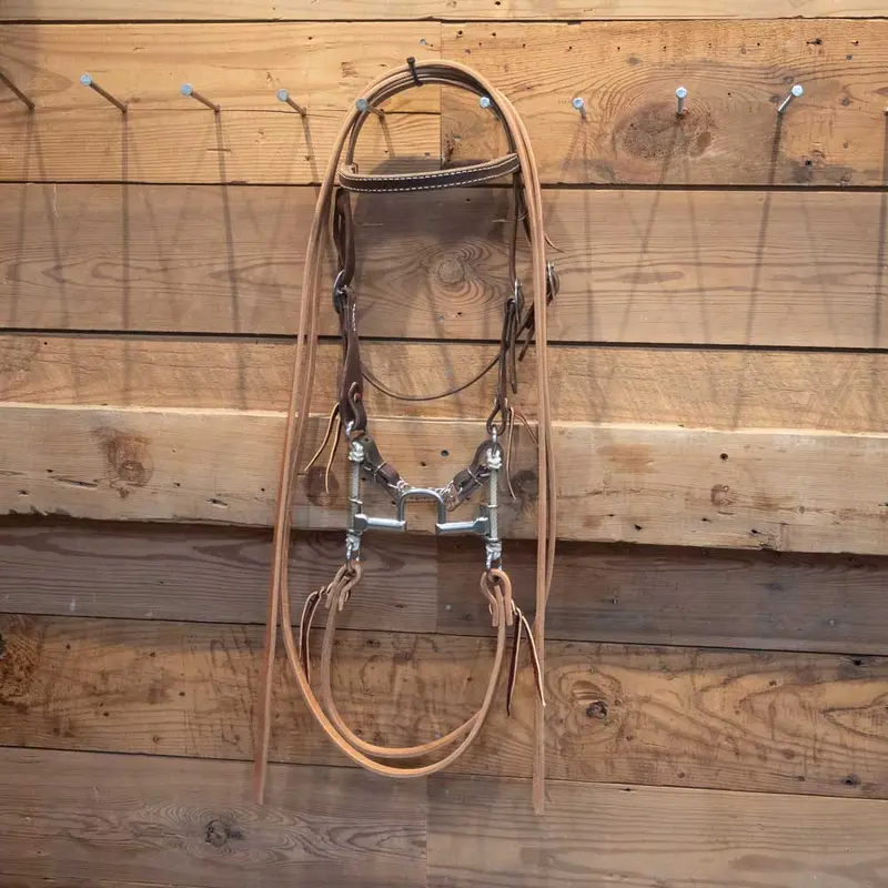 CHS Square Port Correction Gag Bridle Rig