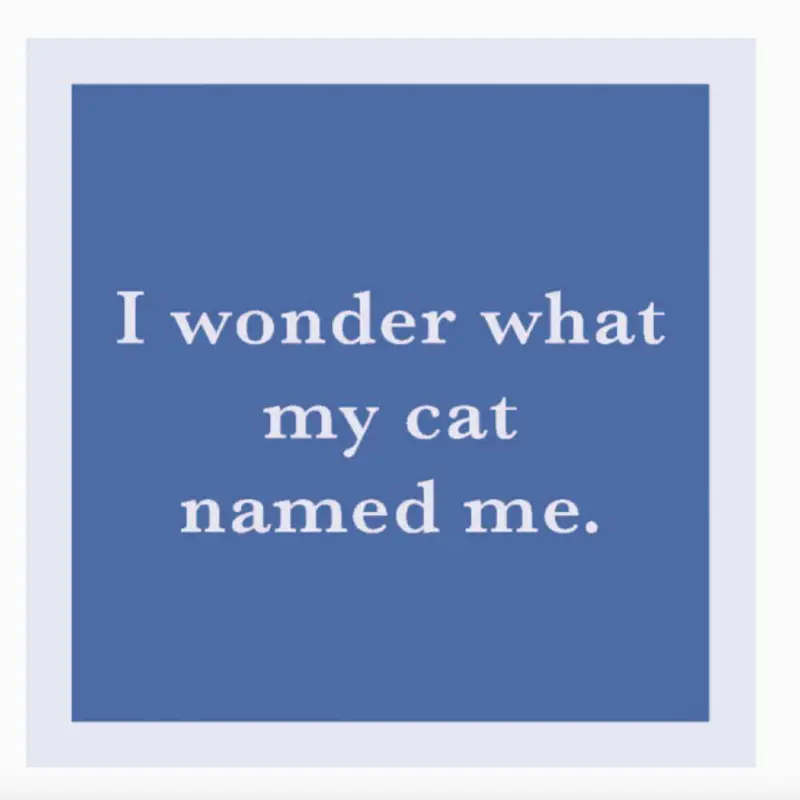 "Cat Named Me" Coaster
