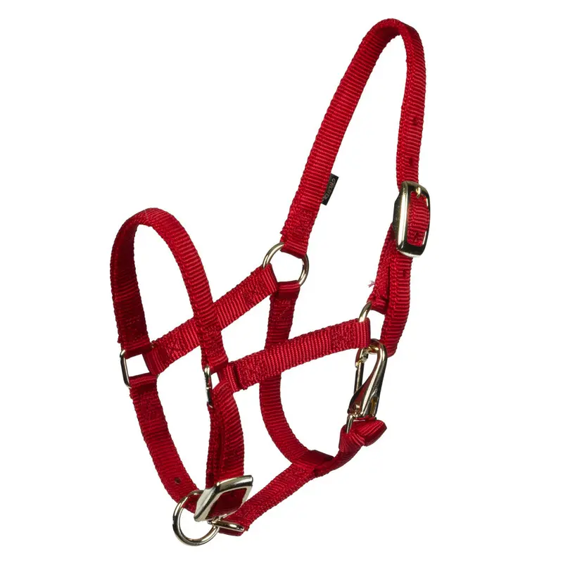 Weaver Miniature Horse Halter