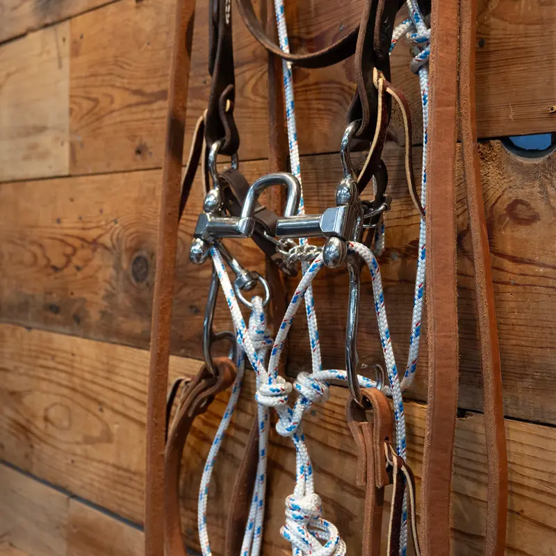 CHS Correction Bridle Rig w/Martingale