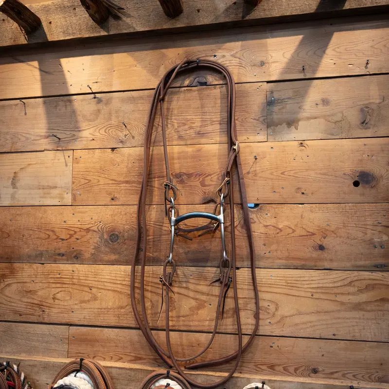 MAHUE Mullen Bridle Rig