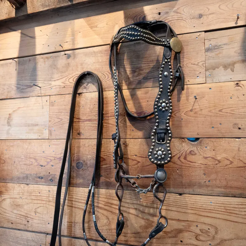 Vintage Brass Dots & Buttons Headstall w/a silver inlay bit