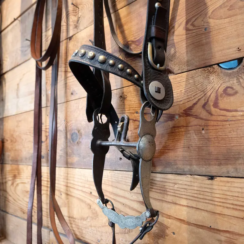 Vintage Dotted Bridle w/Cavesson & Port Bit