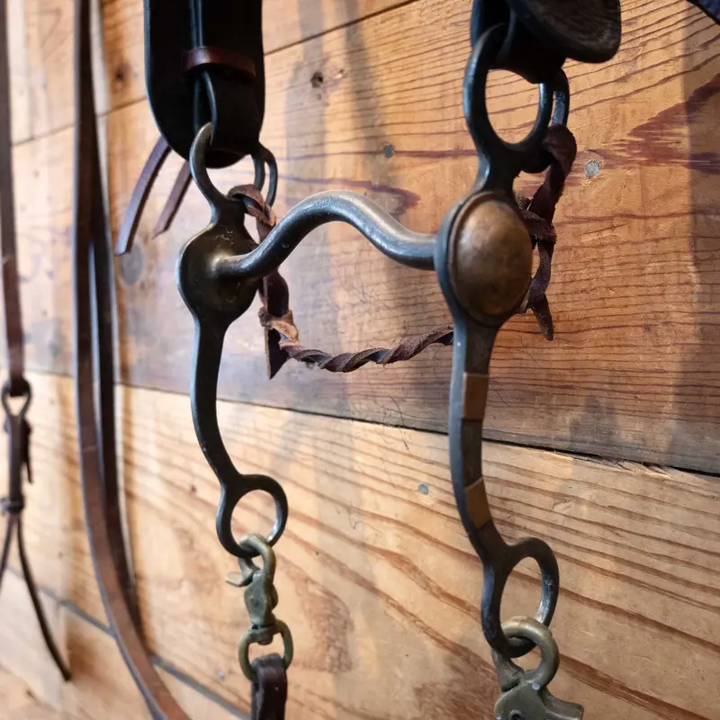 Vintage Low Port Rig w/Romel Reins & Heart Conchos