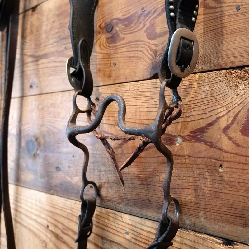 Vintage Silver Dotted Solid Port Bridle Set
