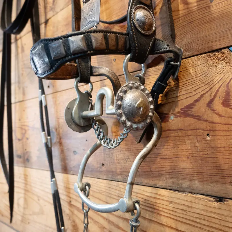 Vintage Sterling Silver "Star Steel Silver" Parade Bridle