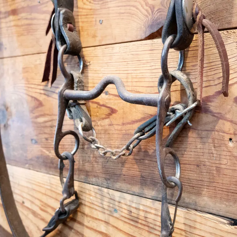 Vintage Western Style Silver Dots & Conchos Bridle Set