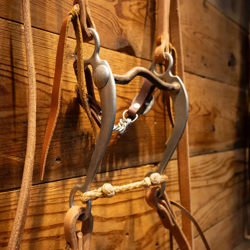 Walls Solid Port Grazing Bridle Rig