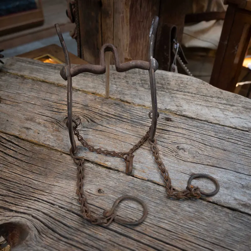 Early 1900's Western Horse Bit