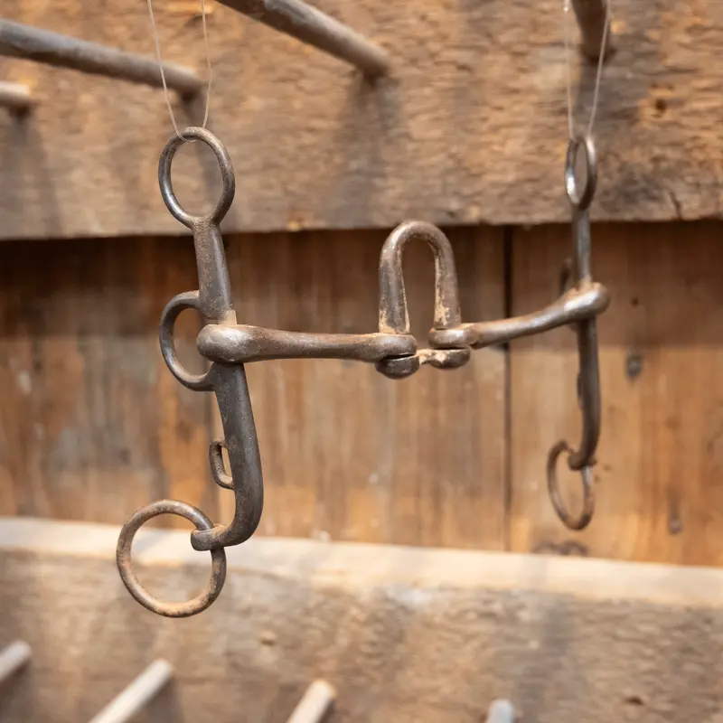 Argentine Correction Bit