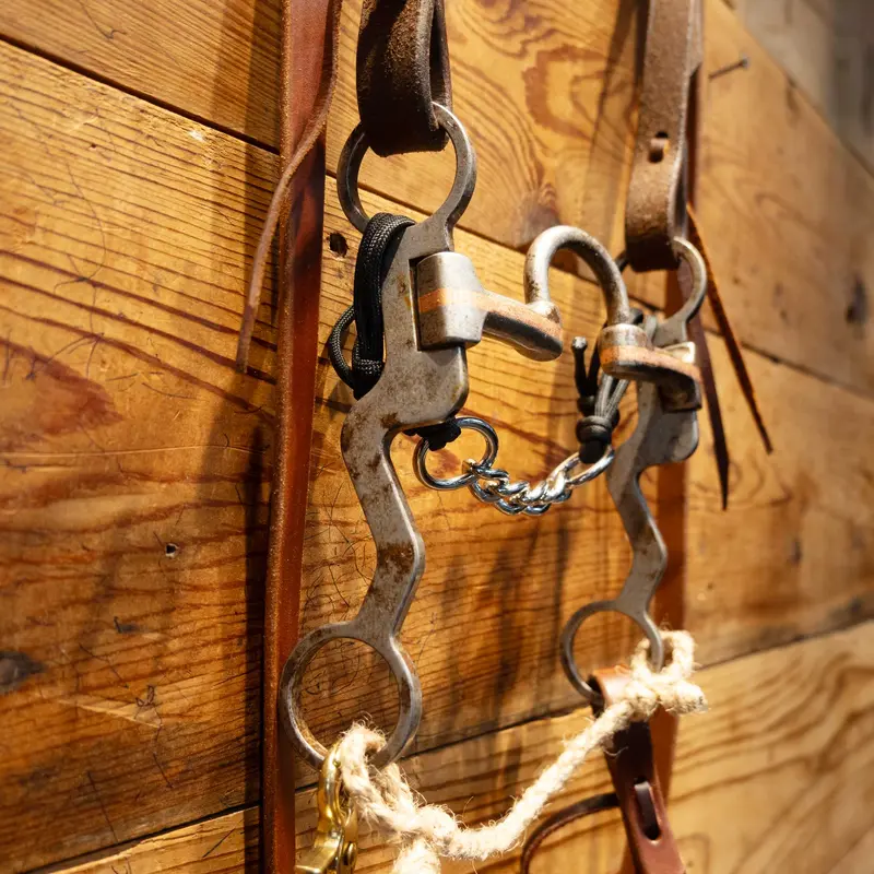 Correction Bridle Rig w/Copper Accents