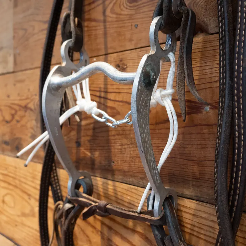 Barry Guillory Grazing Bit Bridle Rig