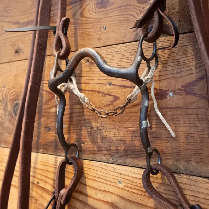 Kurtis Rudelbach Solid Port Bridle Rig