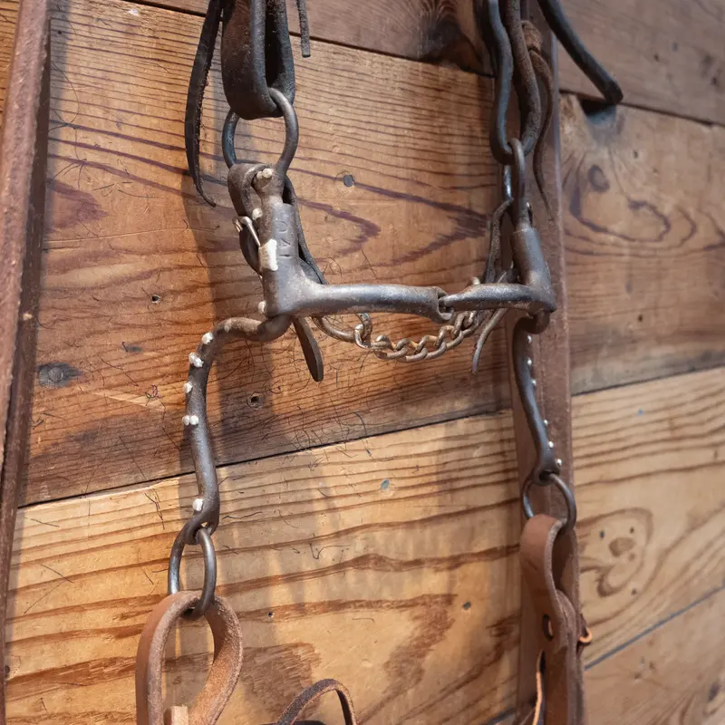 Snaffle w/ Copper Inlay Bit Bridle Rig