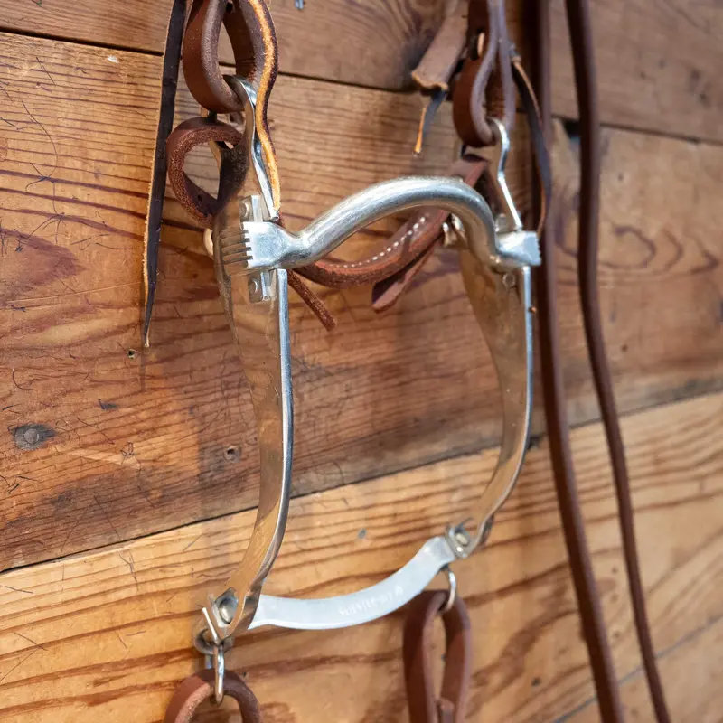 Sleister Port Bit Bridle Rig