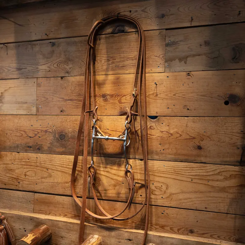 Billy Allen Bit with all NEW Leather Bridle Rig