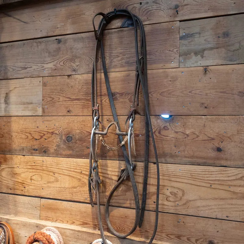 Cathedral Bridle Rig