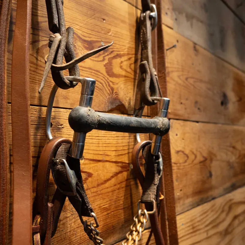 D-Ring w/a Rubber Mullen Bridle Rig