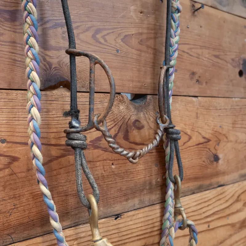 Draw Gag twisted Snaffle Bridle Rig