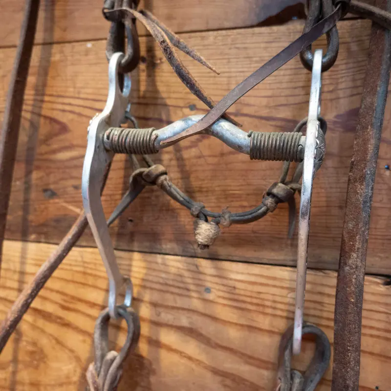 GARCIA Grazing Bit Bridle Rig