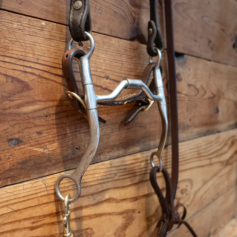 Hinge Port Bit Bridle Rig