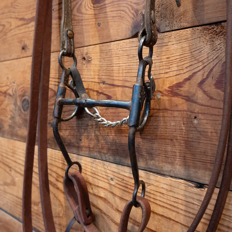 Mechanical Shanked Snaffle Bridle Rig