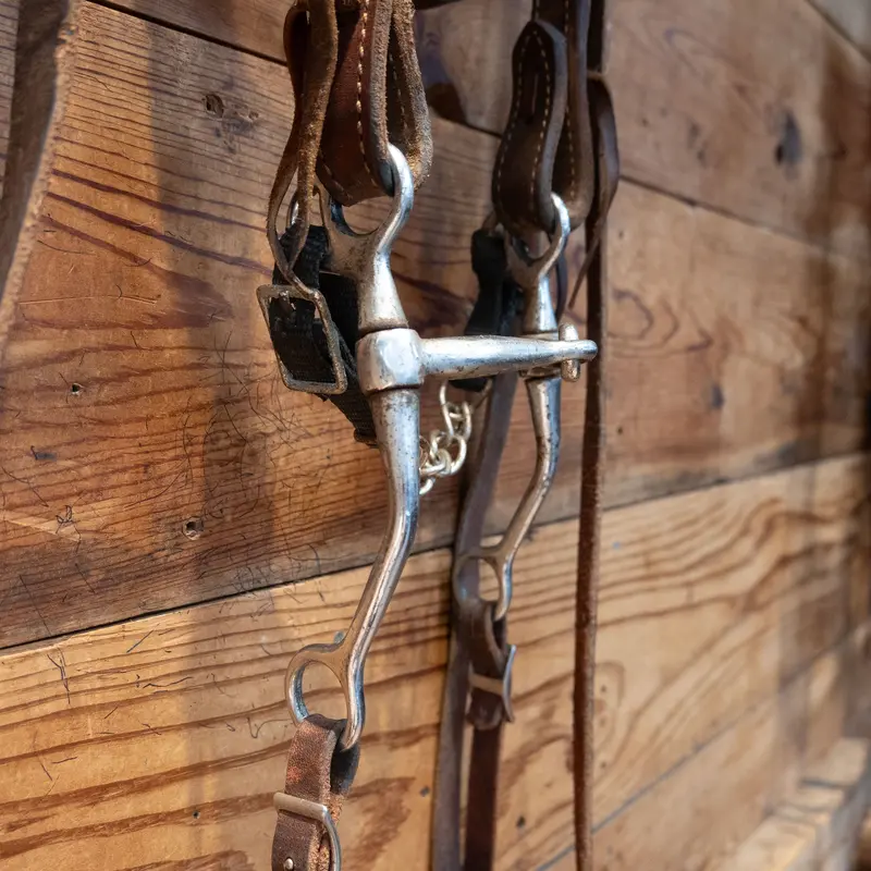 Smooth Snaffle Bit Bridle Rig